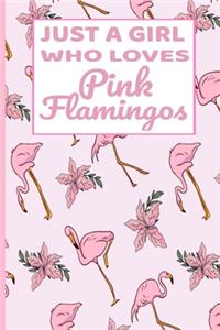 Just A Girl Who Loves Pink Flamingos