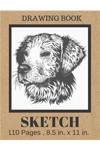 Sketch Book