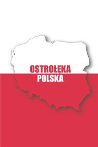 Ostroleka Polska Tagebuch