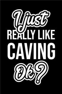 I Just Really Like Caving Ok?