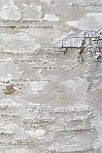 2020 Weekly Planner White Birch Bark Photo 134 Pages