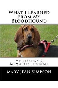 What I Learned from My Bloodhound