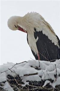 Stork in the Snow Journal