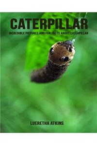 Caterpillar