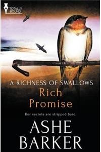 A Richness of Swallows: Rich Promise