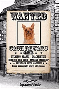 Silky Terrier Dog Wanted Poster