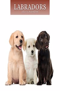 LABRADORS 2023 SQUARE WALL CALENDAR