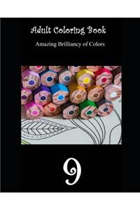 Adult Coloring Book 9