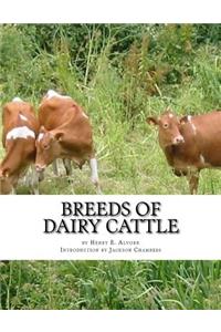 Breeds of Dairy Cattle