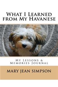 What I Learned from My Havanese