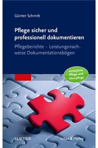 Pflege Sicher Und Professionell Dokumentieren