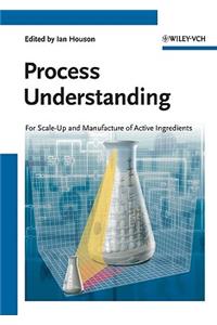 Process Understanding