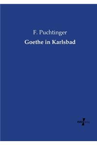 Goethe in Karlsbad