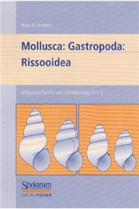 Suwasserfauna von Mitteleuropa, Bd. 05/1-2: Mollusca:Gastropoda: Rissooidea