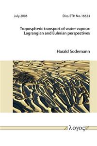 Tropospheric Transport of Water Vapour: Lagrangian and Eulerian Perspectives