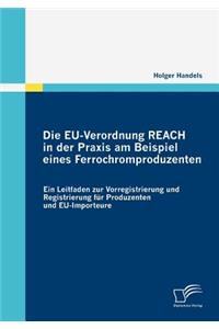 Die EU-Verordnung REACH in der Praxis am Beispiel eines Ferrochromproduzenten