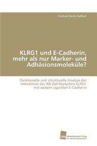KLRG1 und E-Cadherin, mehr als nur Marker- und Adhäsionsmoleküle?