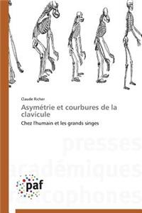 Asymétrie Et Courbures de la Clavicule