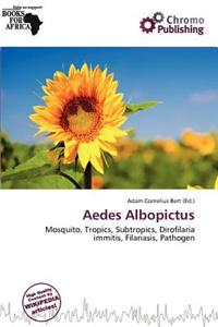 Aedes Albopictus