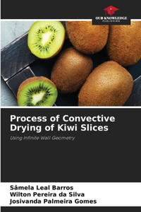 Process of Convective Drying of Kiwi Slices