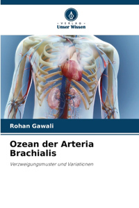 Ozean der Arteria Brachialis
