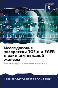 Исследование экспрессии TGF-α и EGFR в раке щитов
