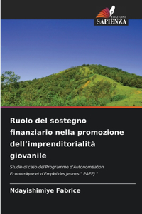 Ruolo del sostegno finanziario nella promozione dell'imprenditorialità giovanile