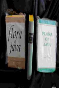 Flora of Java