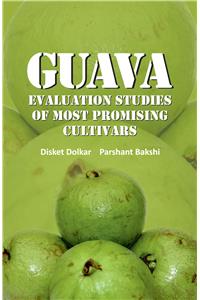 Guava: Evaluation Studies Of Most Promising Cultivars