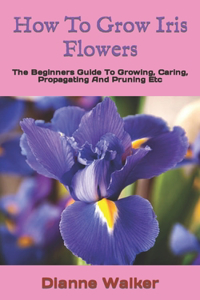 How To Grow Iris Flowers