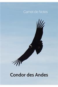 Carnet de Notes Condor des Andes