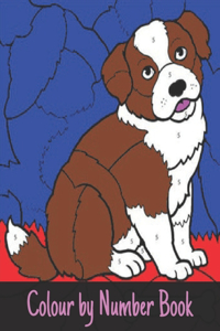 Colour by Number Book