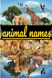 Animal names