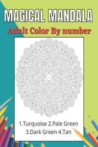 Magical Mandala Adult Color By Number