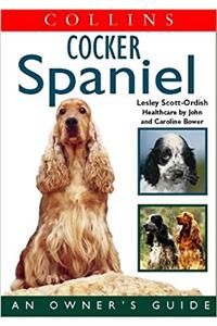 Cocker Spaniel