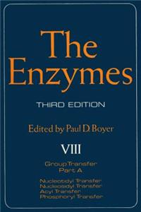 The Enzymes