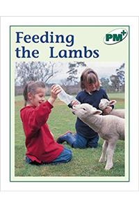 Feeding the Lambs PM PLUS Non Fiction Level 14&15 Food Green