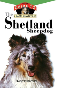 Shetland Sheepdog