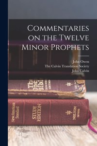 Commentaries on the Twelve Minor Prophets