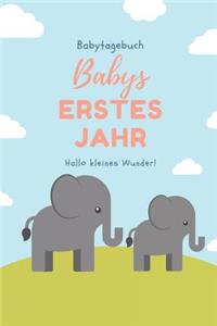 Babytagebuch Babys Erstes Jahr Hallo Kleines Wunder
