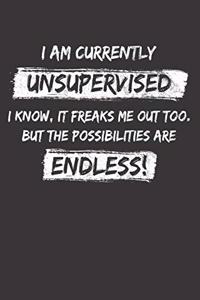 Sarcastic Sayings Unsupervised Notebook Journal