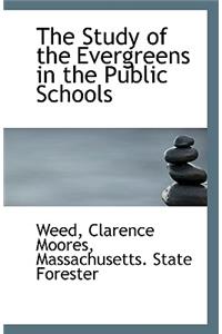 The Study of the Evergreens in the Public Schools