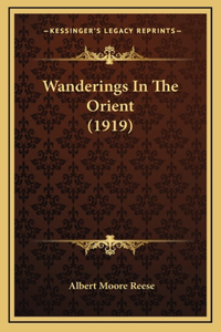 Wanderings In The Orient (1919)