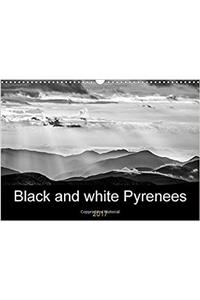 Black and White Pyrenees 2017