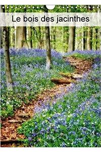 Bois Des Jacinthes 2018