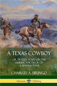 Texas Cowboy