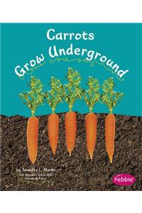 Carrots Grow Underground