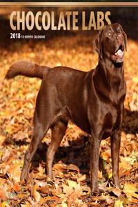 Labrador Retrievers, Chocolate 2018 Wall Calendar