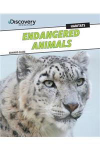 Endangered Animals