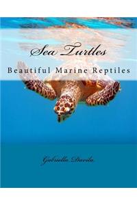 Sea Turtles